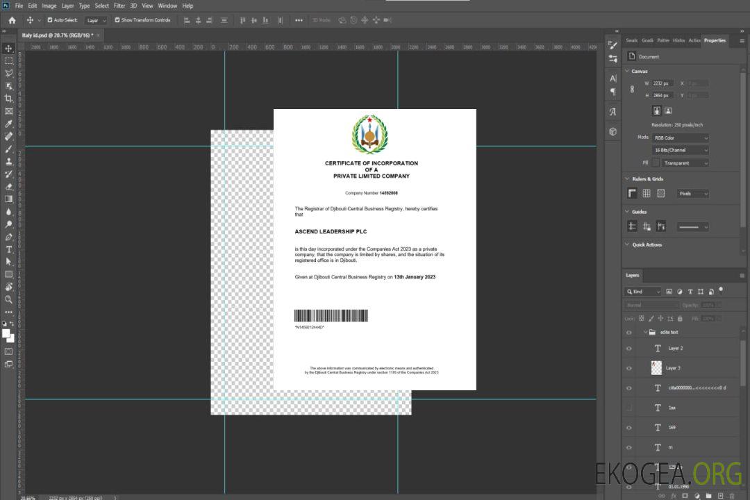 Modèle Word et PDF de certificat d'enregistrement de Djibouti template